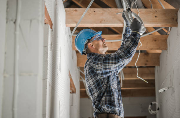 Best Electrician for Home Renovation  in Barry, IL